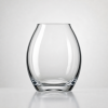 Minimalist Glass Vase
