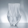 Frosted Crystal Vase