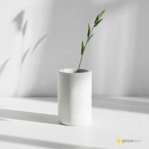 Minimalist Matte White Vase